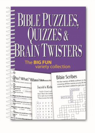 Bible Puzzles, Quizzes & Brain Twisters