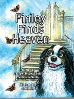 Finley Finds Heaven