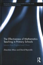 Effectiveness of Mathematics Teaching in Primary Schools