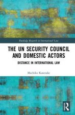 UN Security Council and Domestic Actors