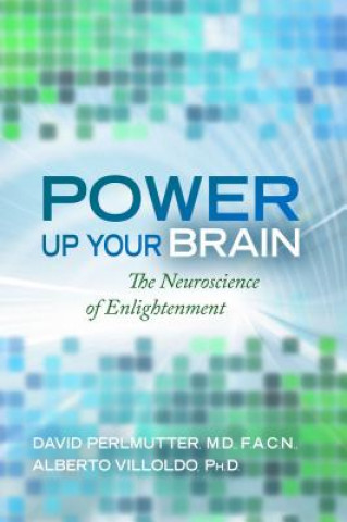 Power Up Your Brain (David Perlmutter,Alberto Villoldo)(Miękka)