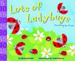Lots of Ladybugs!