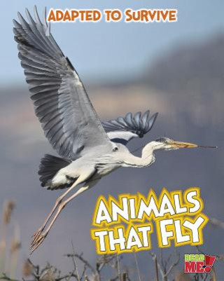 Animals That Fly