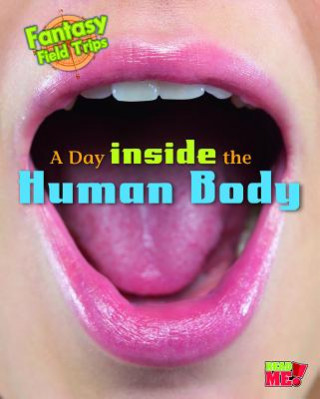 A Day Inside the Human Body