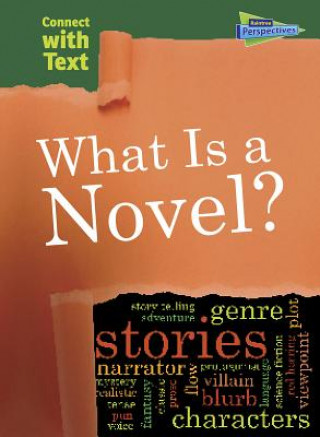 What Is a Novel?