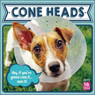 Cone Heads 2017 Calendar