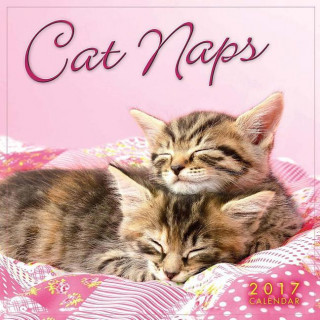 Cat Naps 2017 Calendar