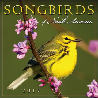 Songbirds of North America 2017 Calendar