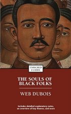 The Souls Of Black Folks