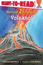 Natural Disasters