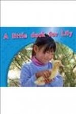 A Little Duck for Lily