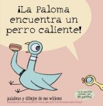 !La Paloma encuentra un perro caliente!