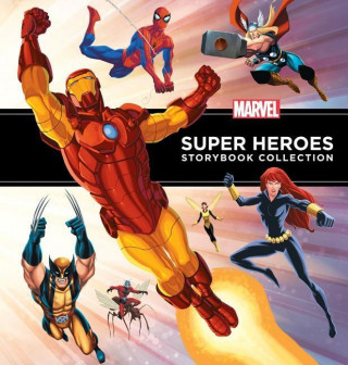 Super Heroes Storybook Collection