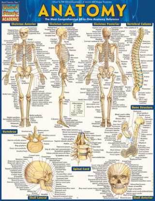 Anatomy Easel Book