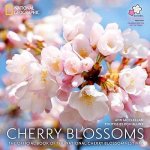 Cherry Blossoms : The Official Book of the National Cherry Blossom Festival