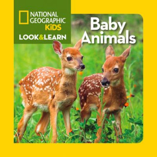 Look and Learn: Baby Animals