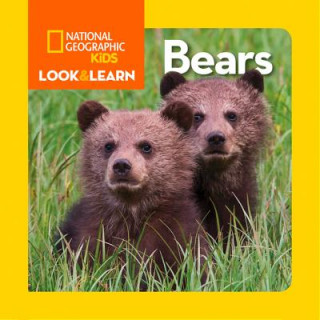 Look and Learn: Bears