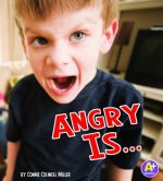 Angry Is...
