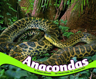 Anacondas