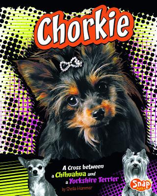Chorkie