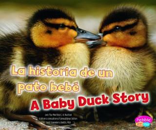 La historia de un pato bebe / A Baby Duck Story