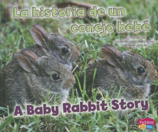 La Historia De Un Conejo Bebe/ a Baby Rabbit Story