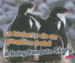 La Historia De Un Pinguino Bebe/ a Baby Penguin Story