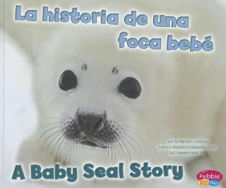 La historia de una foca bebe / A Baby Seal Story