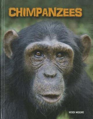 Chimpanzees