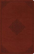 ESV Large Print Value Thinline Bible