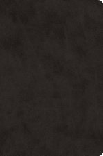 ESV Compact Outreach Bible, Premium Edition