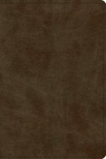 ESV Study Bible, Personal Size