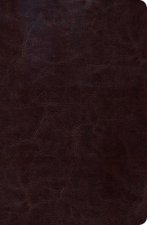 Biblia de Estudio Scofield / Scofield Study Bible