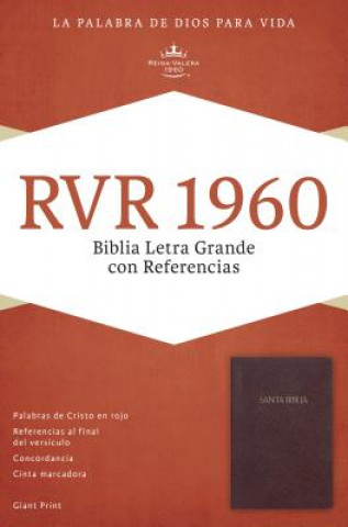 Santa Biblia