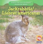 Jackrabbits/ Liebres Americanas