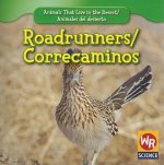 Roadrunners/ Correcaminos