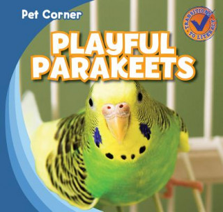 Playful Parakeets