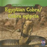 Egyptian Cobra / Cobra egipcia