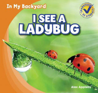 I See a Ladybug