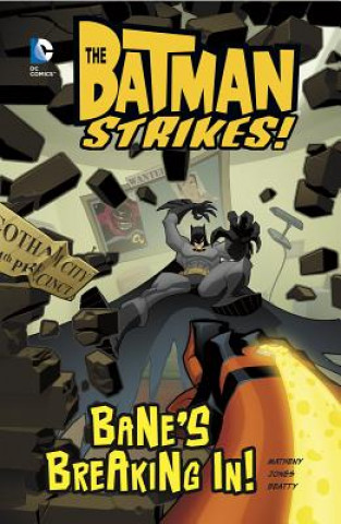 The Batman Strikes
