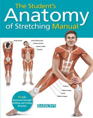 The Student's Anatomy of Stretching Manual