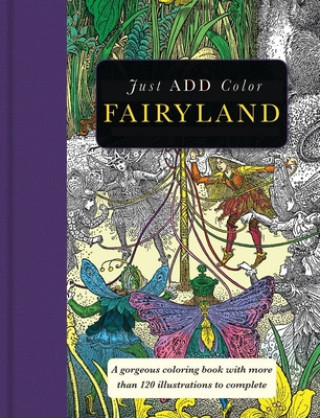 Fairyland Adult Coloring Book
