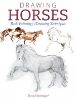 Drawing Horses