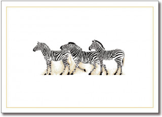 Zebra Note Cards
