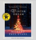 Winter Dream