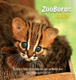 Zooborns Cats
