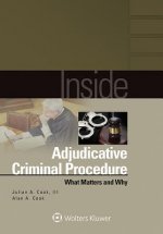 Inside Adjudicative Criminal Procedure