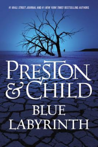 Blue Labyrinth