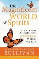 The Magnificent World of Spirits