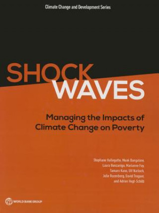 Shock waves